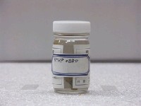 藏品(燧鯛)的圖片